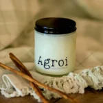sweet cinnamon soy candle