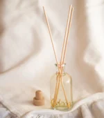 diffuser 100ml