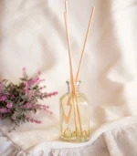 diffuser 100ml