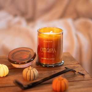 fall soy candle