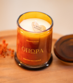 fall soy candle